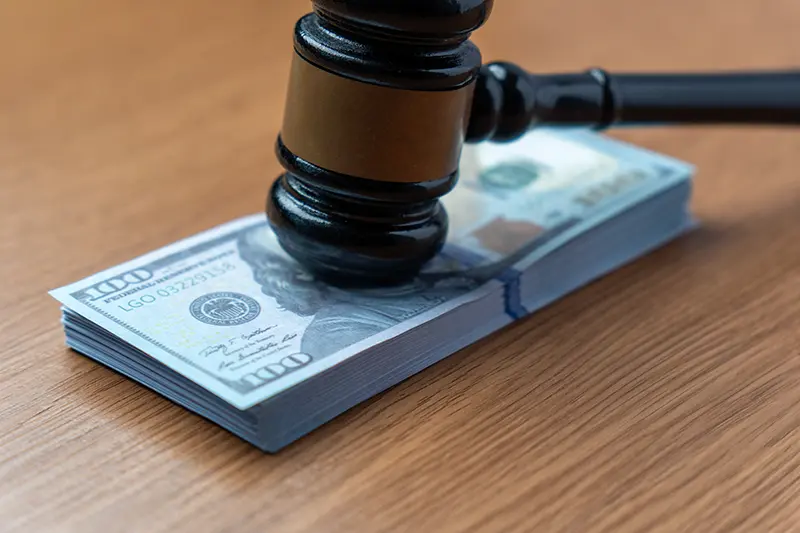 lawsuit business model