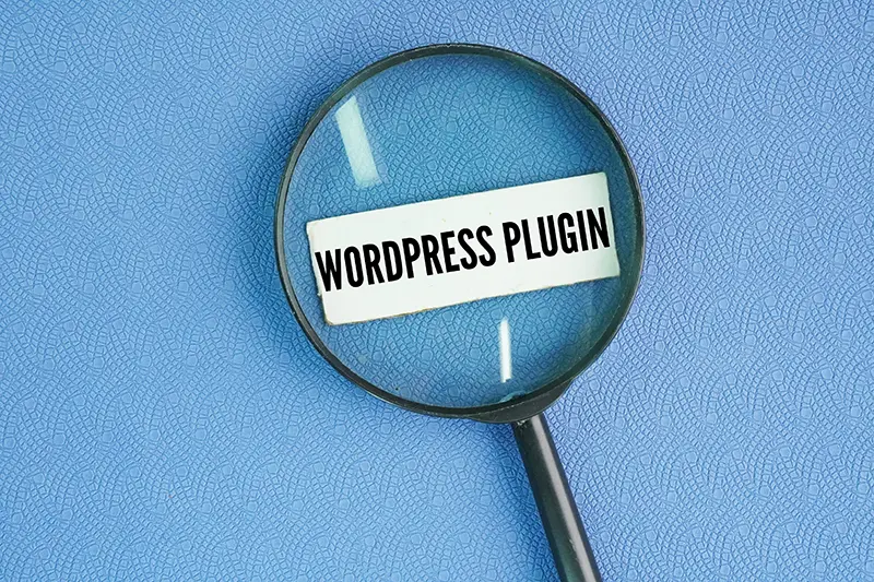 wordpress website accessibility plugin